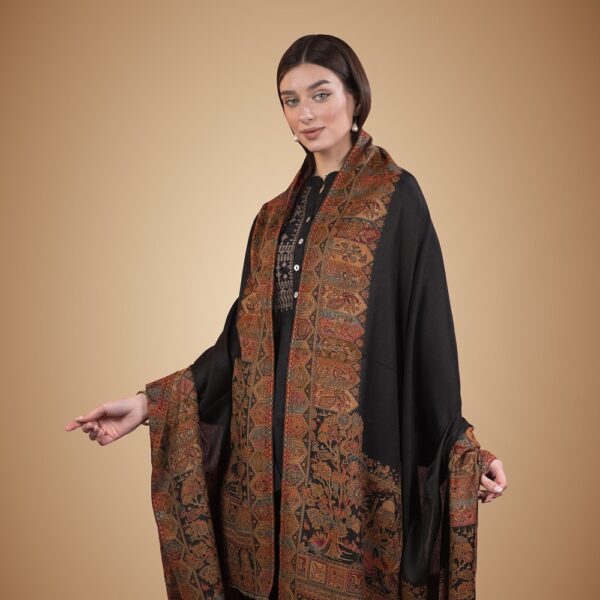Kashmiri Kaani Border Shawl
