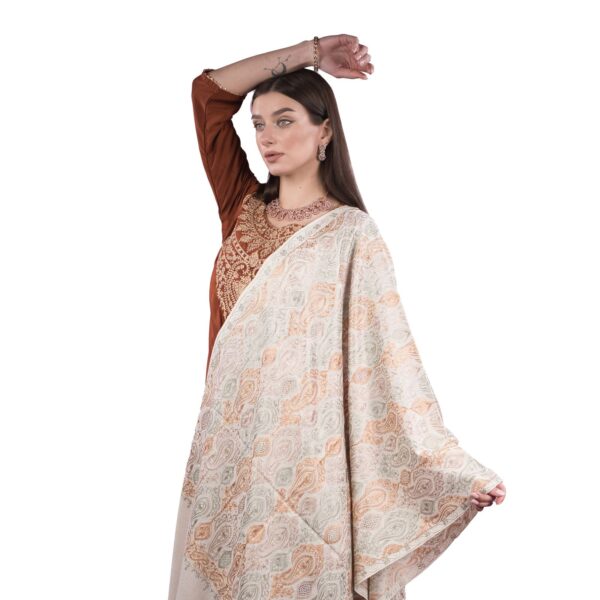 Embroidery shawl for ladies