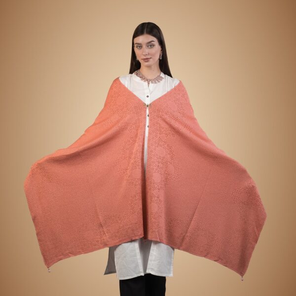 ladies stoles design