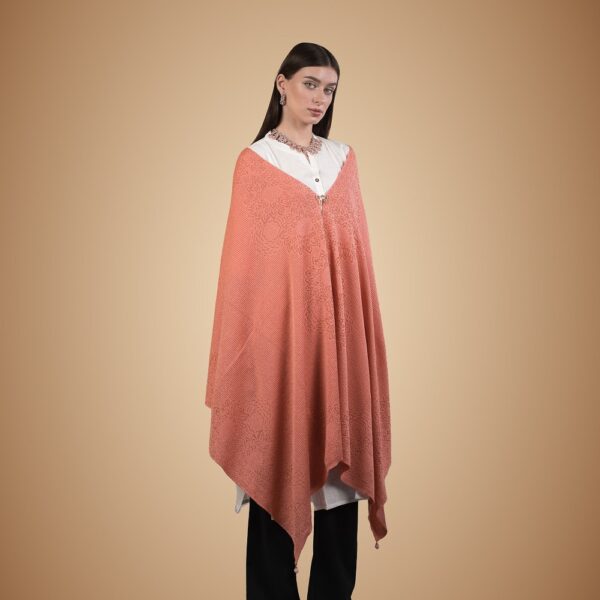 ladies stoles design with border